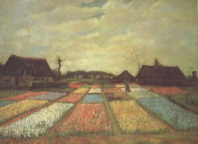 Vincent Van Gogh Bulb Fields (nn04)